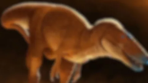 Nuevo dinosaurio fósil encontrado en Mongolia ayuda a entender el origen del T-Rex