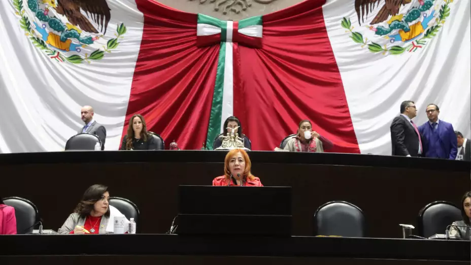 Rosario Piedra Ibarra Diputados CNDH 2024