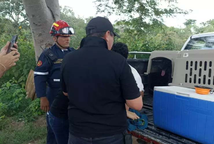 ÚLTIMA HORA_ Momento EXACTO en el que LOCALIZAN a Lionel Álvarez tras 3 días de búsqueda en Yucatán