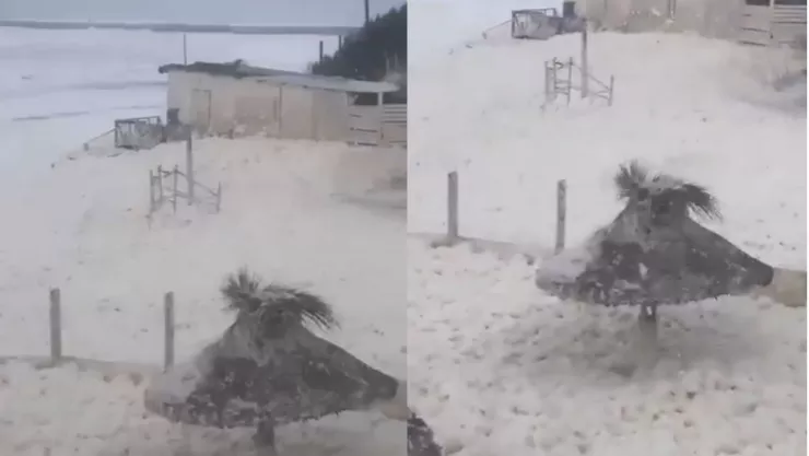 Presencia de espuma marina en costas de Argentina