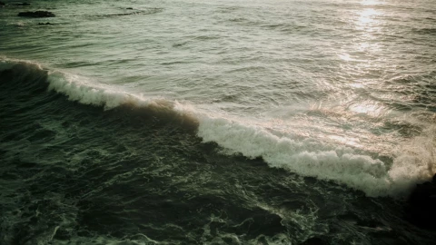 búsquedas para dar con el joven arrastrado por el mar en Rosarito.png