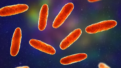 Infección por la bacteria Klebsiella oxytoca