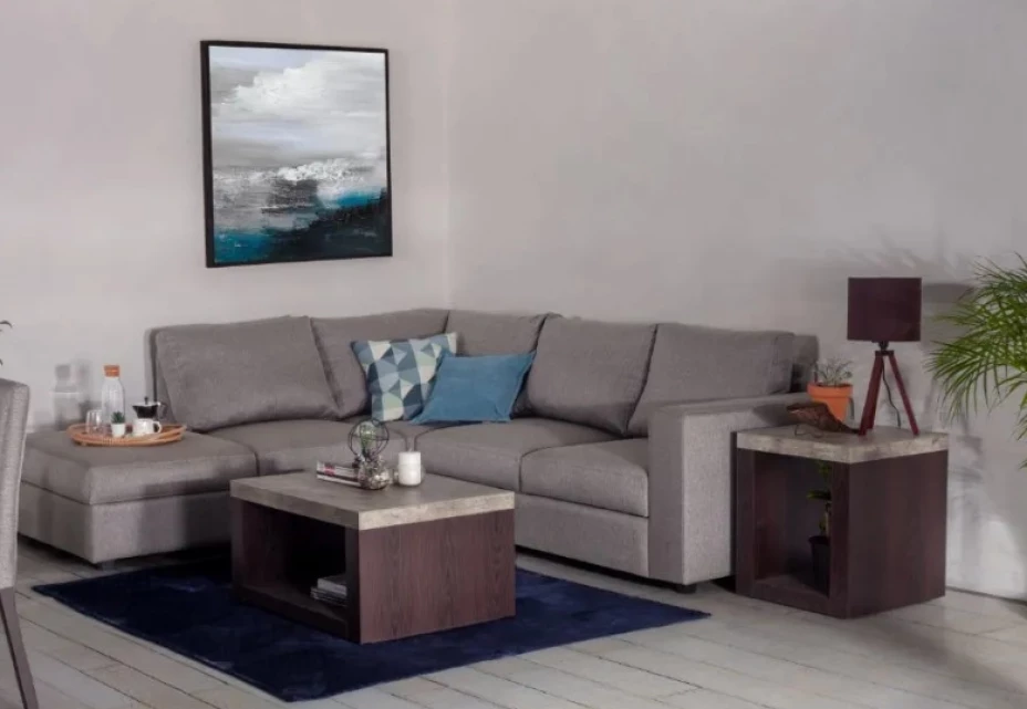 Esta es la sala que Elektra publicó a mitad de precio