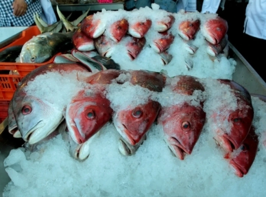 Alimentos del mar