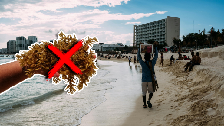 Playas sin sargazo en Quintana Roo HOY 29 de septiembre de 2025_ Lista de Holbox, Cancún, Tulum a Xcalak.jpg