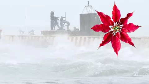 Norte Veracruz navidad