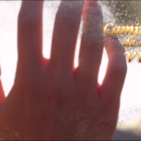 IMAGEN 5 (9).png