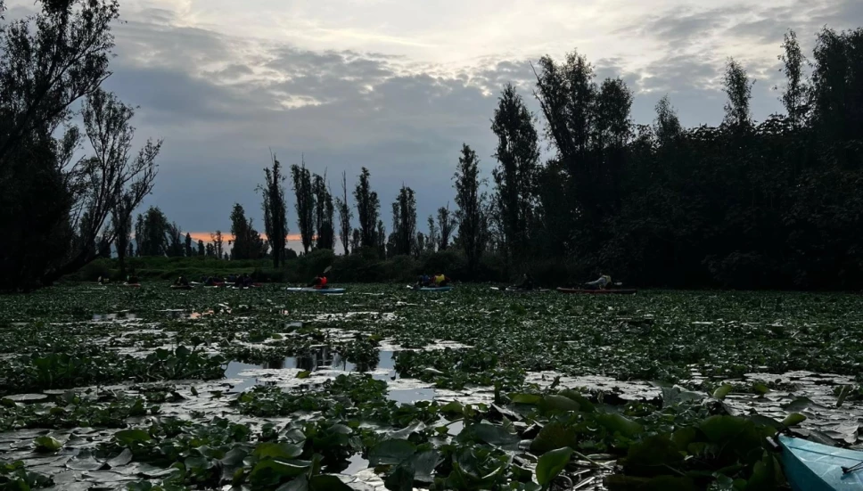 canales de Xochimilco