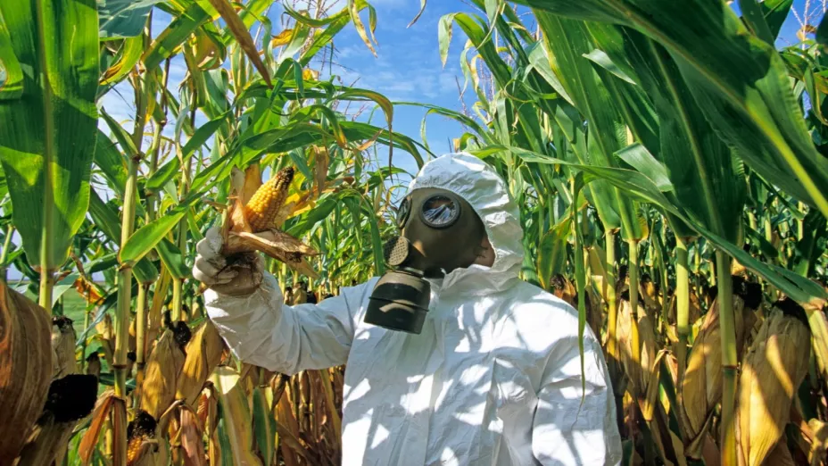 Glifosaro_Michel PERES.jpeg