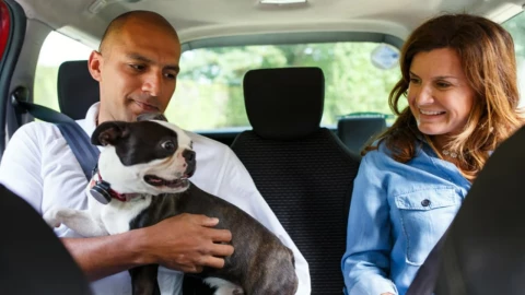 uber pet 2025 viajes mascotas
