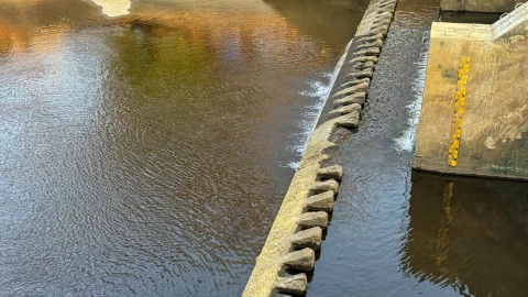 &iquest;Ayudaron las lluvias al Sistema Cutzamala? Este es su nivel comenzando julio