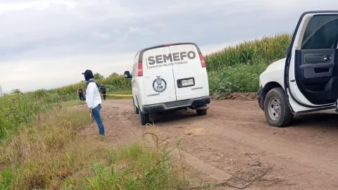 Hallan restos humanos en Villa Juárez, Navolato