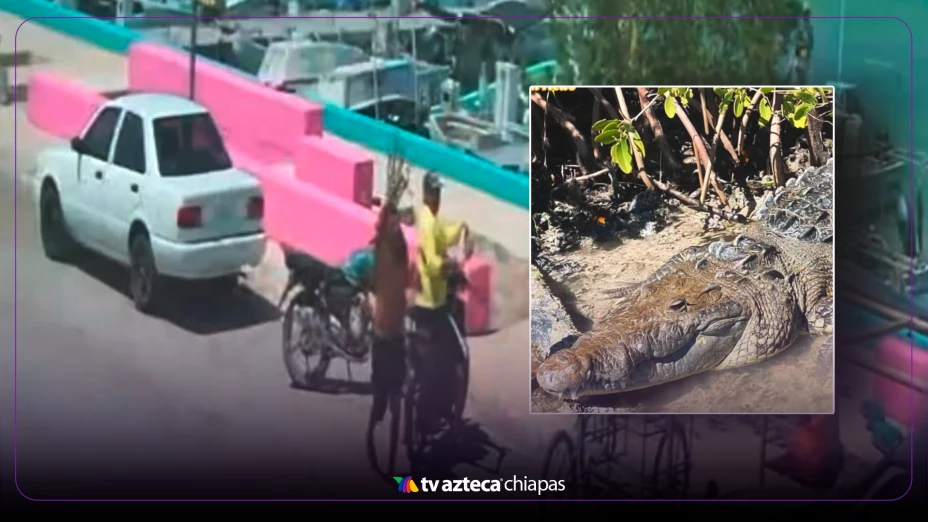 VIDEO: Pescador sobrevive a ataque de cocodrilo Río Lagartos , Yucatán