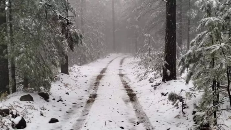 primera nevada méxico 2024 en chihuahua.jpg