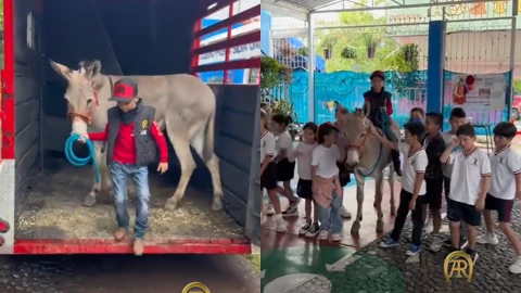 Niño lleva a su burro a la escuela.