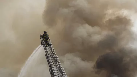 VIDEO: Así fue el reencuentro de una perrita con su dueño tras ser salvada de un incendio en Chihuahua