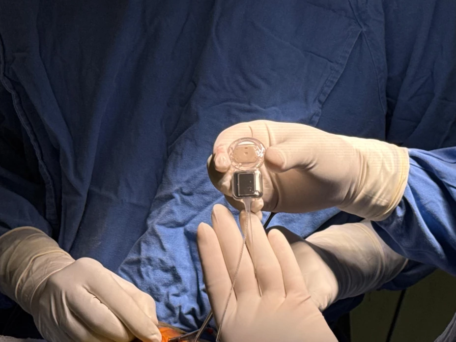 WhatsApp Image 2025-10-03 at 14.43.58.jpeg