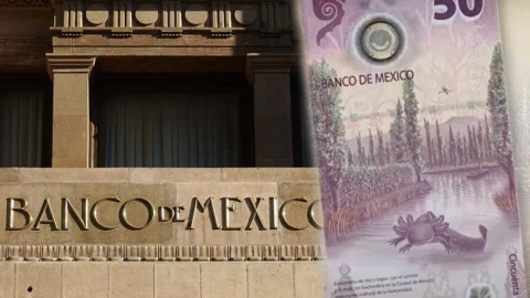 Billete de 50 pesos del ajolote