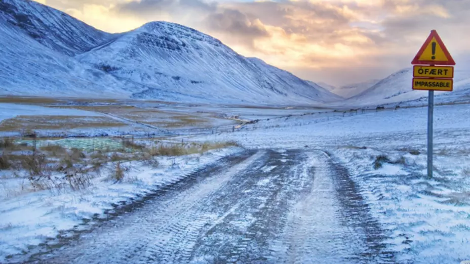 Mosquitos en Islandia por el cambio climático