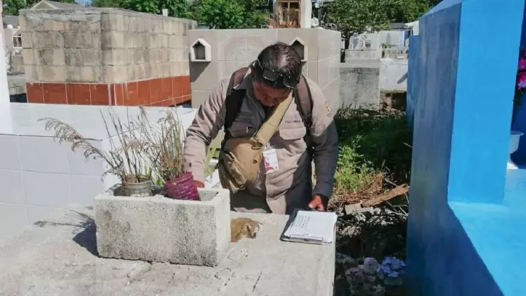 Refuerza acciones contra el dengue en panteones de Quintana Roo ante Día de Muertos