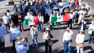 Marcha Generación Z Guanajuato capital hoy 15 noviembre 2025 Horario y lugar .png