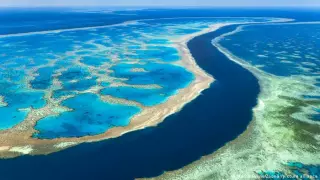reportan la recuperación de la gran barrera de coral australia.jpg