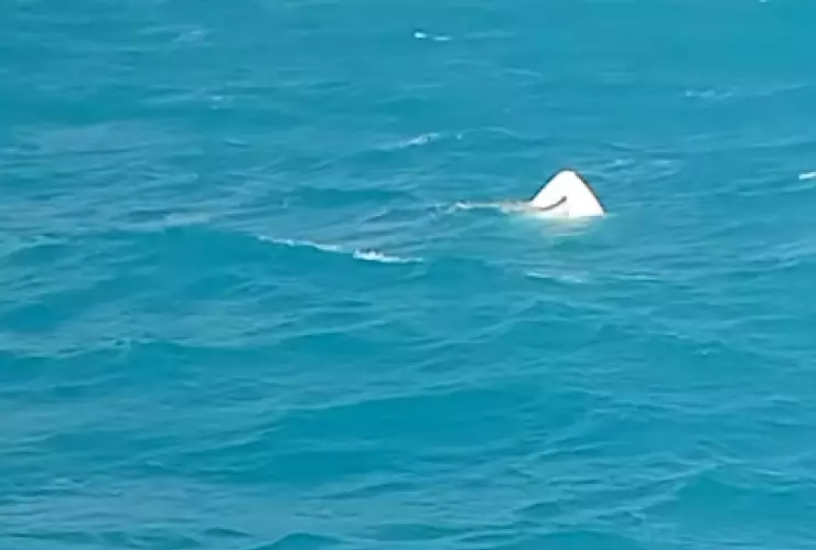 Encuentran lancha hundida y sin señales de tripulantes; esto sabemos