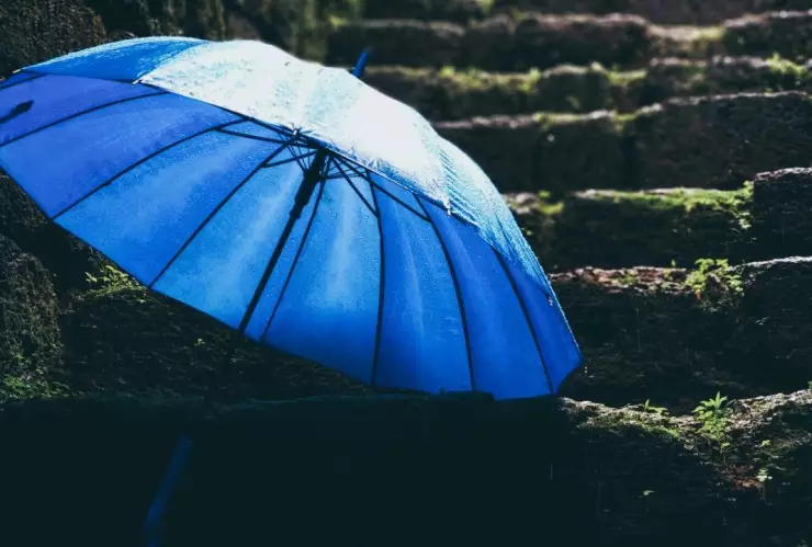 Clima Veracruz hoy, 14 de noviembre 2024: ¿Cuál es el pronóstico del tiempo por municipio?