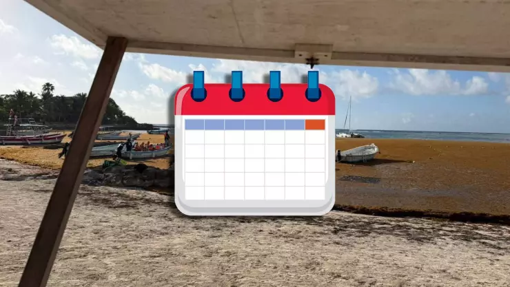 ¿Cuándo inicia la temporada de sargazo en Quintana Roo 2025? Inicia su prevención