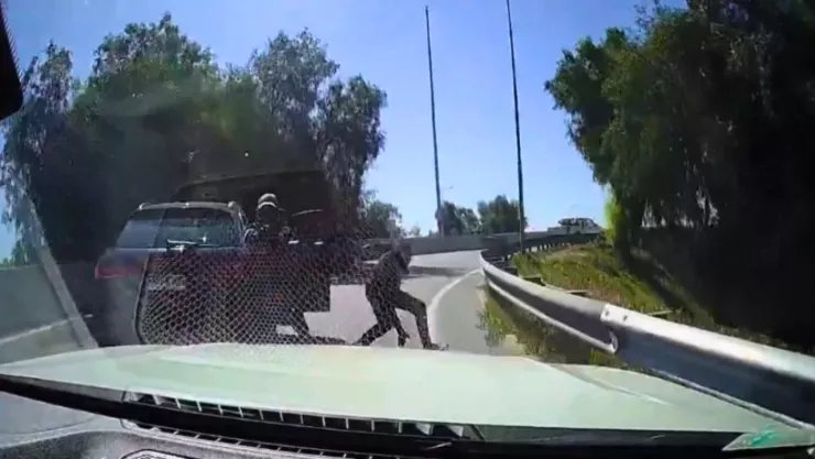 El intento de asalto quedó registrado por la cámara del vehículo