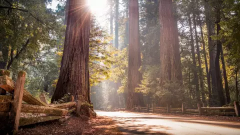Parque estatal de California