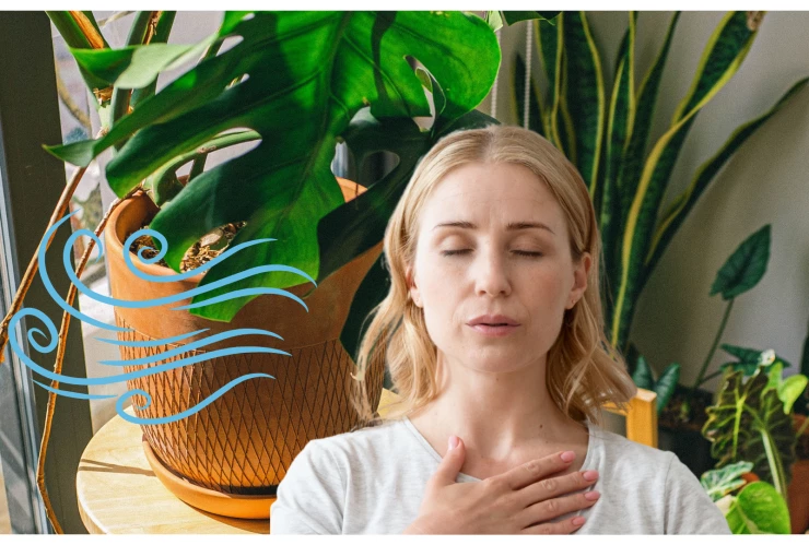 plantas para casa oxígeno