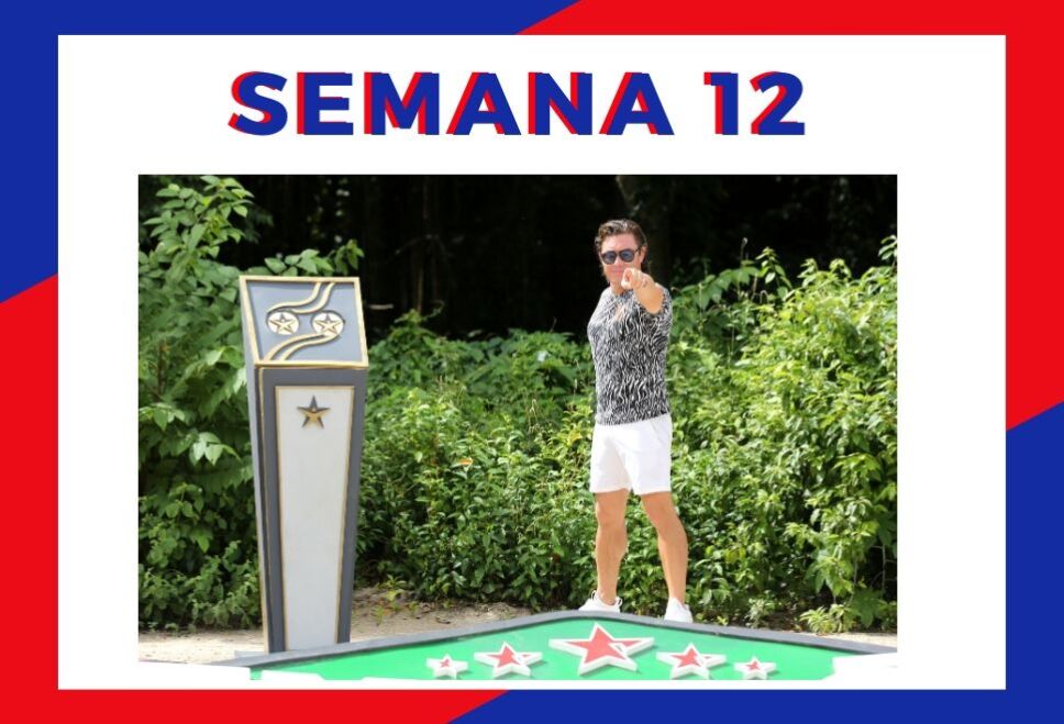 Rosique Semana 12