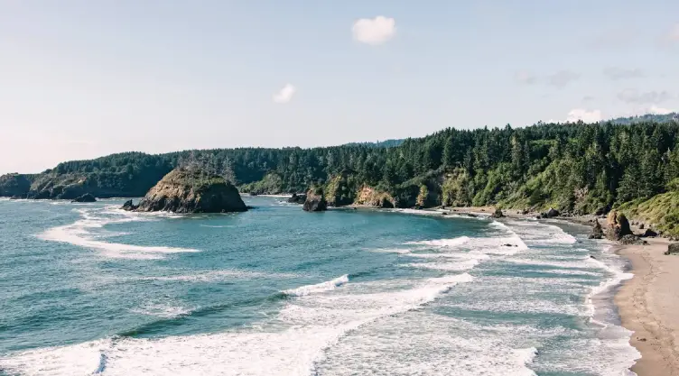 Una playa en el norte de California