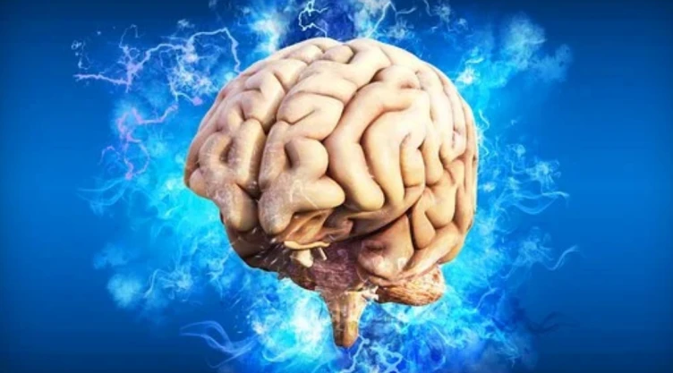 Día Mundial del Cerebro 2022 funciones
