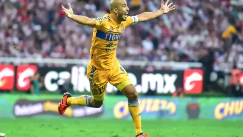 tigres campen del clausura 2023