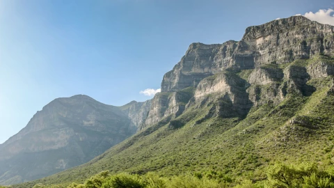 El jardín de Nuevo León