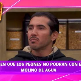 Mono Osuna.jpg