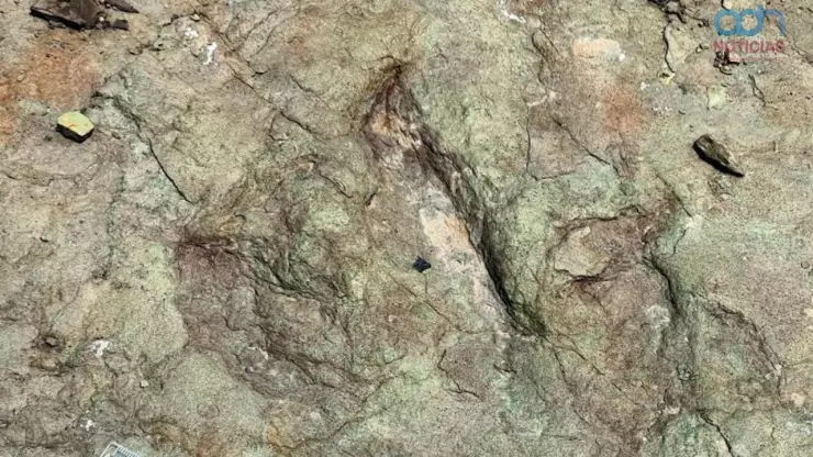 Huellas de dinosaurios