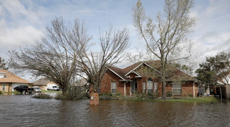 caimán-inundaciones-Ida.jpg