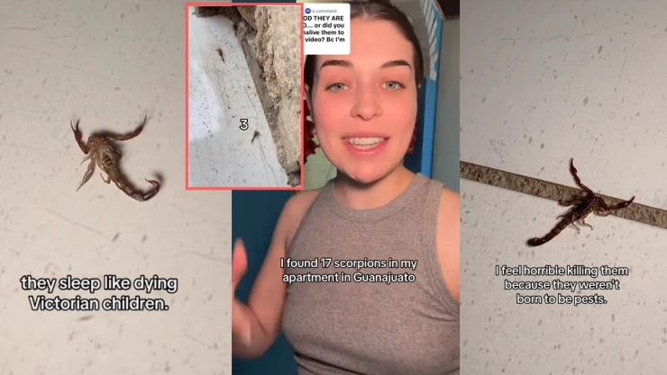 Mujer estadounidenses con alacranes en casa