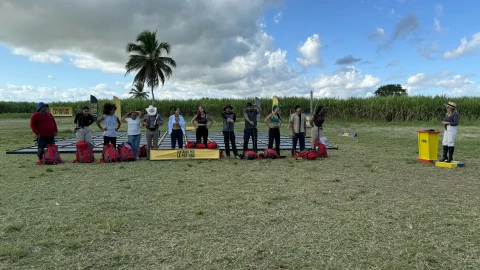 tentados por la fortuna cantidad