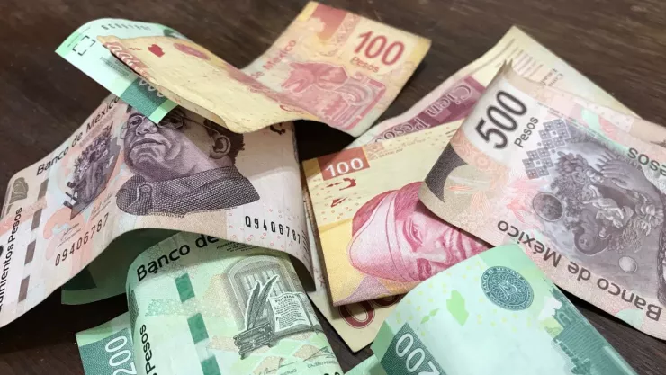 Registro para la beca Jóvenes Escribiendo el Futuro 2025