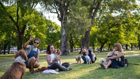 El Gobierno de la Ciudad de México invita a los capitalinos a participar con sus mascotas a la Caminata Perruna Rockanrolera.