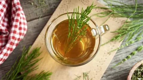 Cola de caballo: Beneficios y formas de consumir esta planta