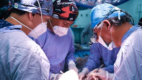 donación de órganos