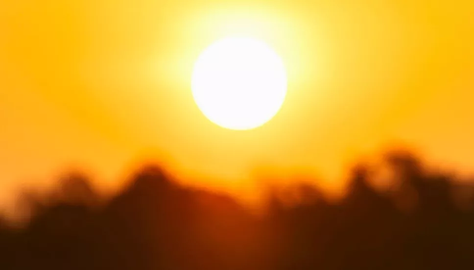 Onda de calor en Mexico 2025