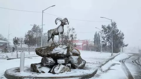 Caída de Nieve en La Rumorosa