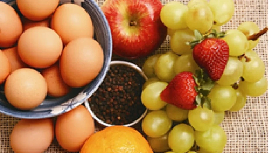 alimentos