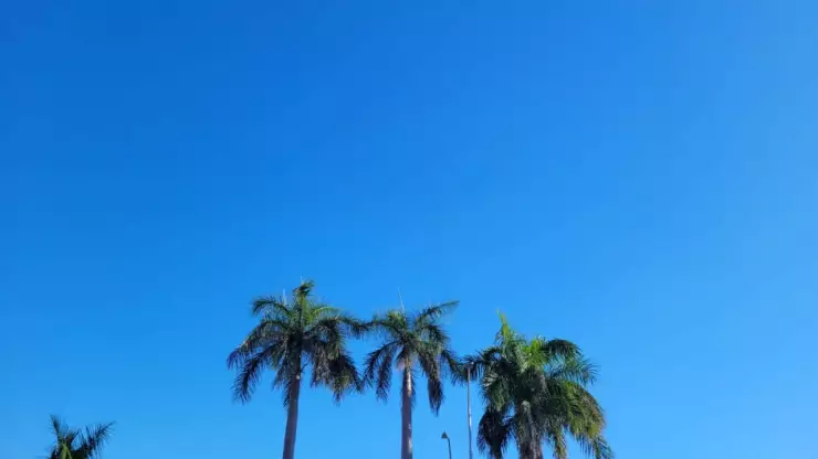 calor en yucatan martes 17 enero